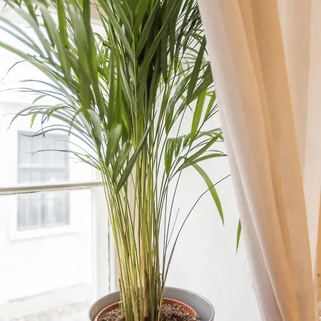 Large Vacation In The Old Town Apartment *
